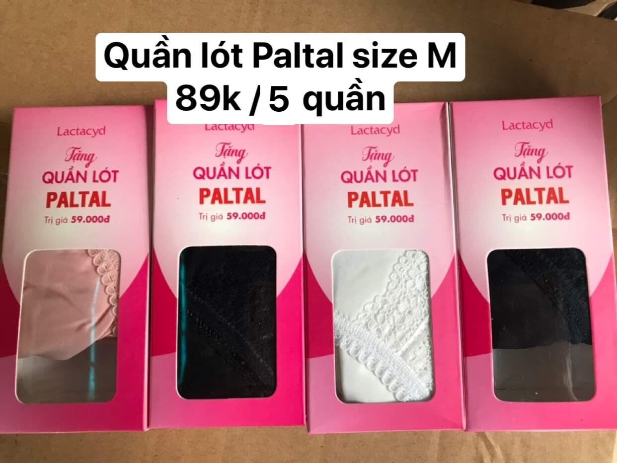 Combo 5 quần lót paltal size M