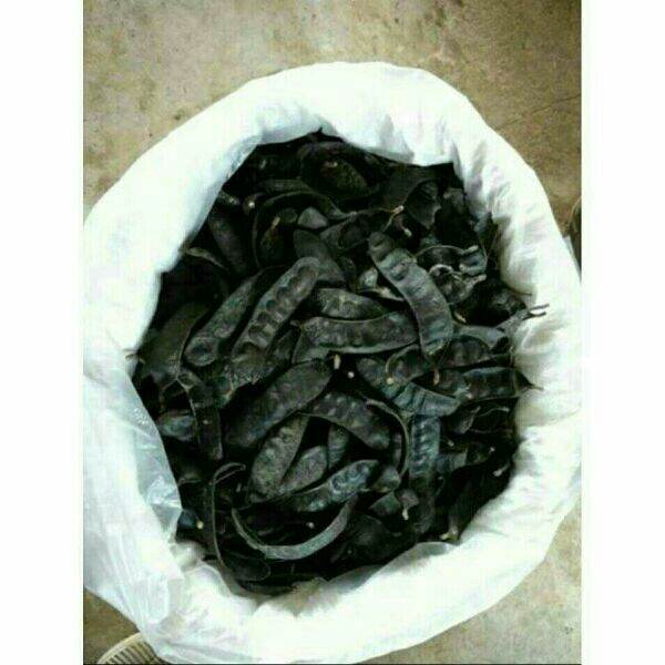 500g bồ kết khô