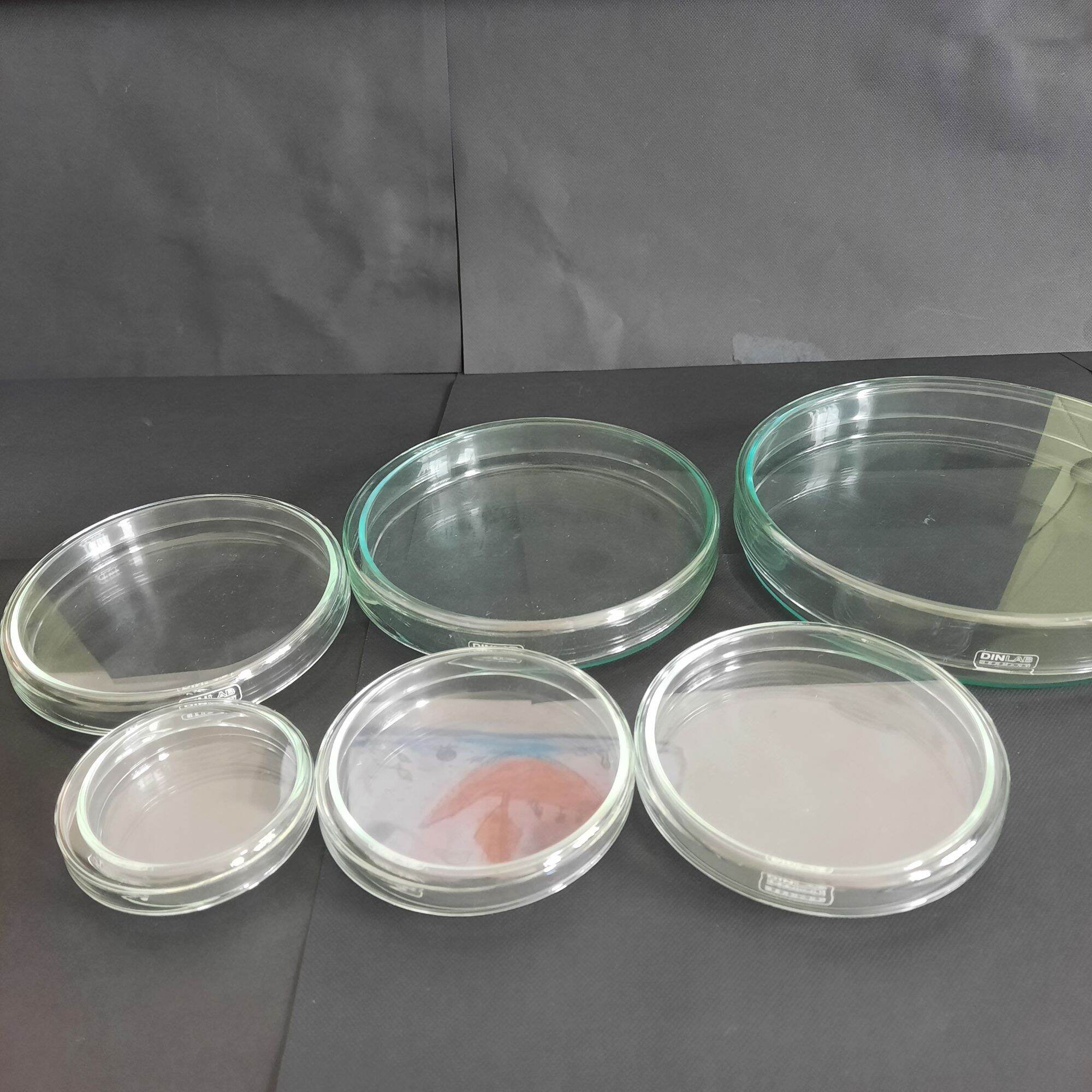 [Dinlab-Đức] 1 CẶP ĐĨA PETRI THỦY TINH NHIỀU SIZE