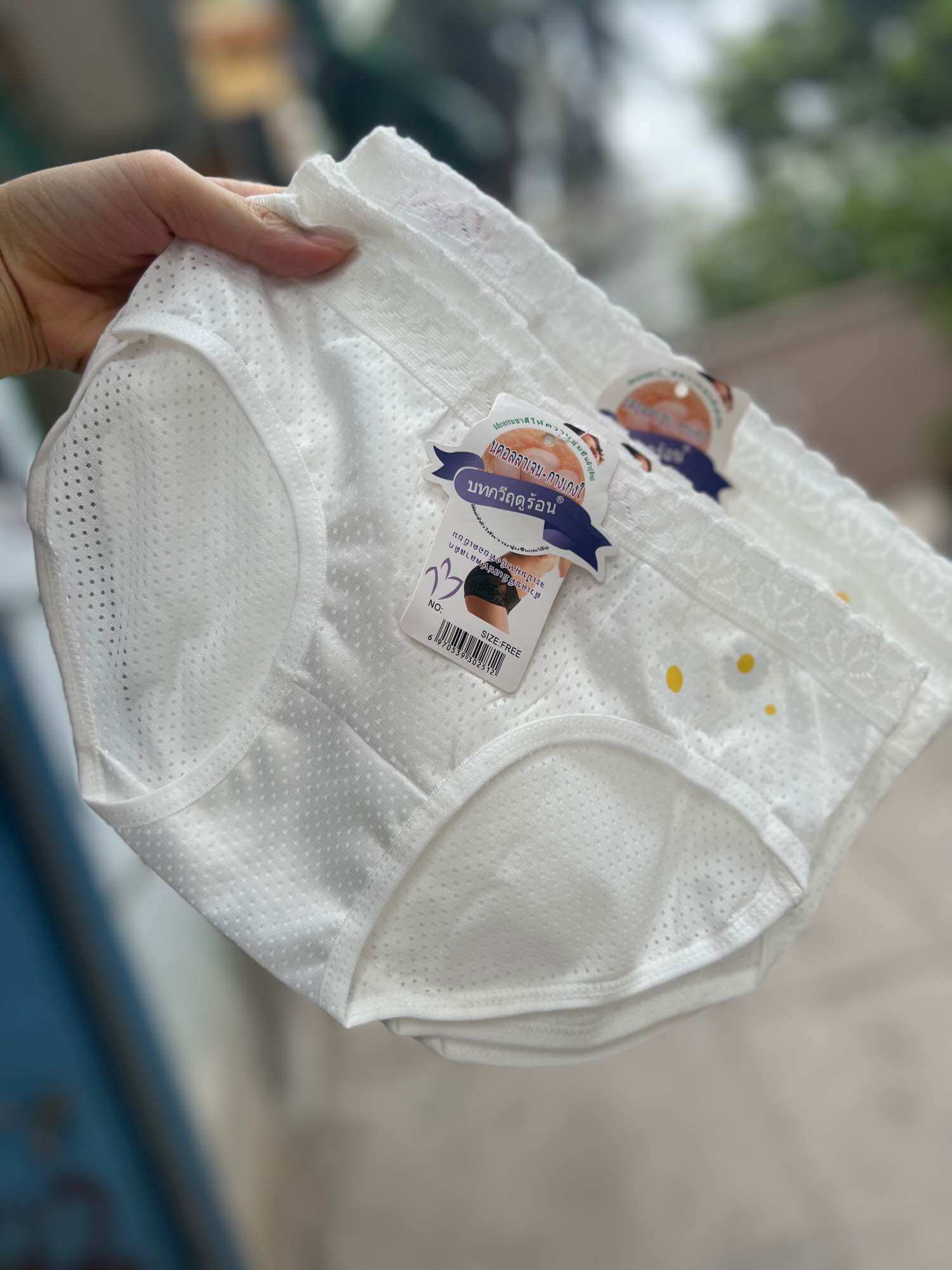Set 5 Quần Lót thông hơi Hoa cúc Nguyên màu trắng