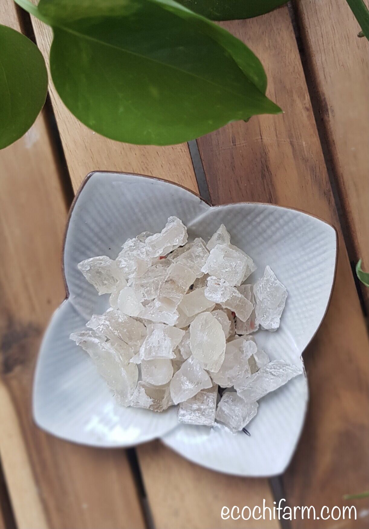 Combo 3 túi mủ trôm sạch nguyên chất Ecochi (350g x 3)