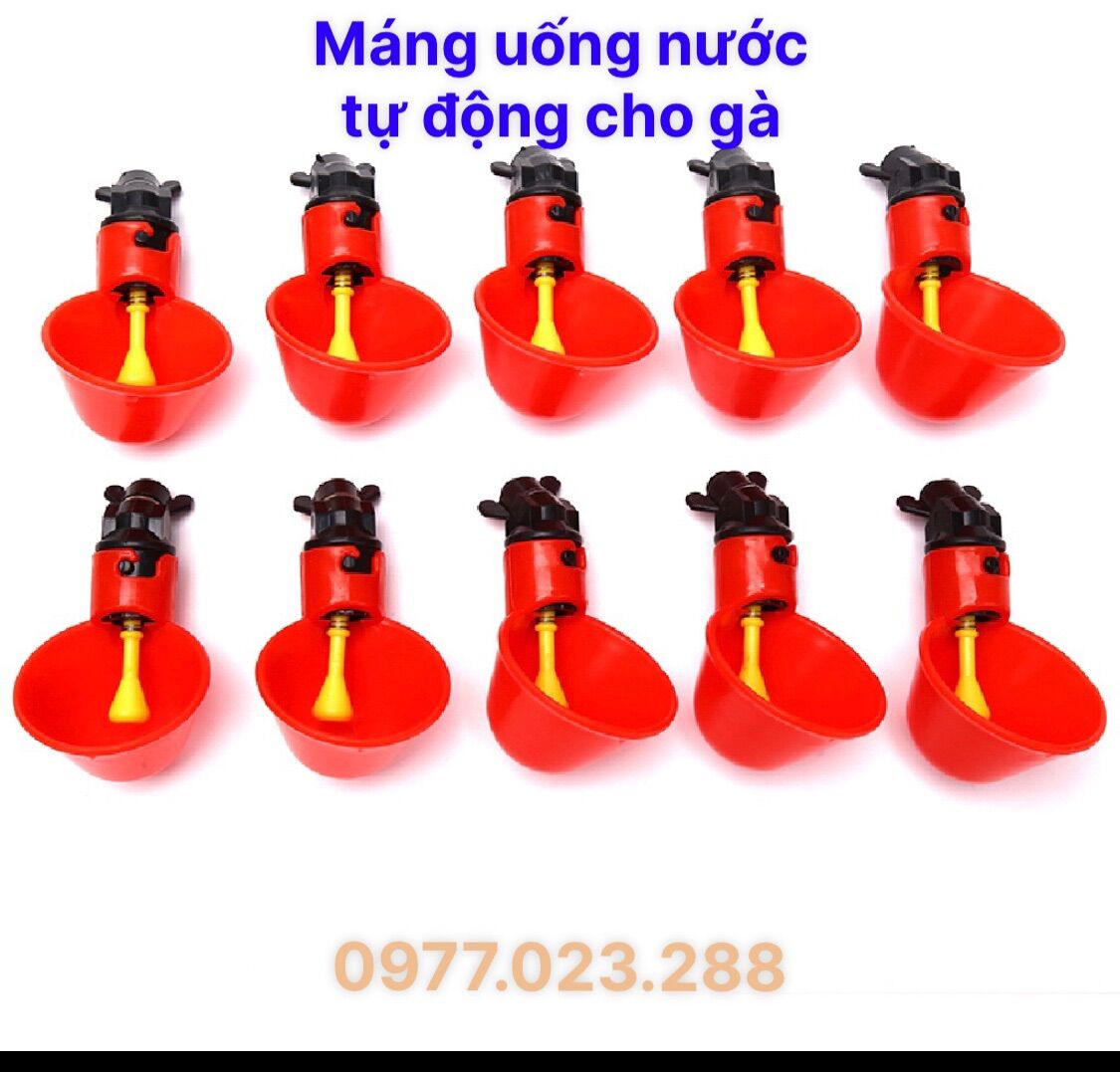 Cốc uống nước tự động cho gà - Máng uống nước chủ động cho gà chim ngan vịt ngỗng