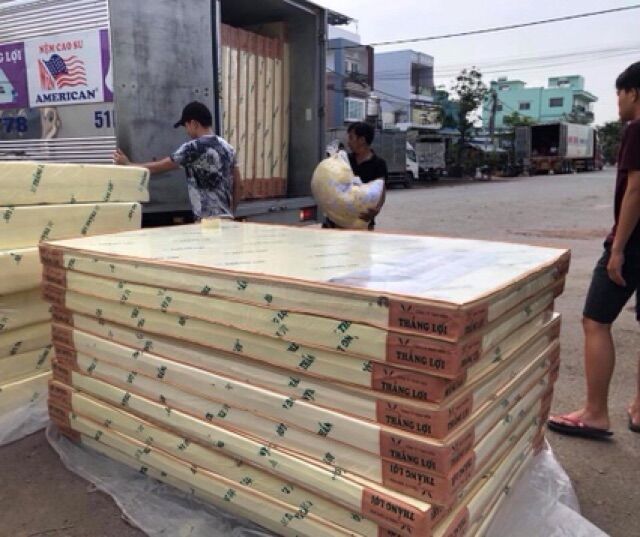 Nệm cao su non thắng lợi ( 1m4x2mx10cm)