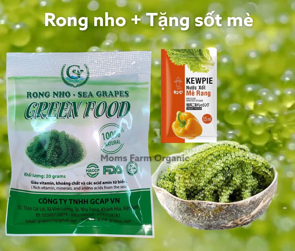 [HCM]Rong nho tách nước Green Food Gói 20gr nở ra 100gr rong nho tươi + tặng Gói sốt mè rang