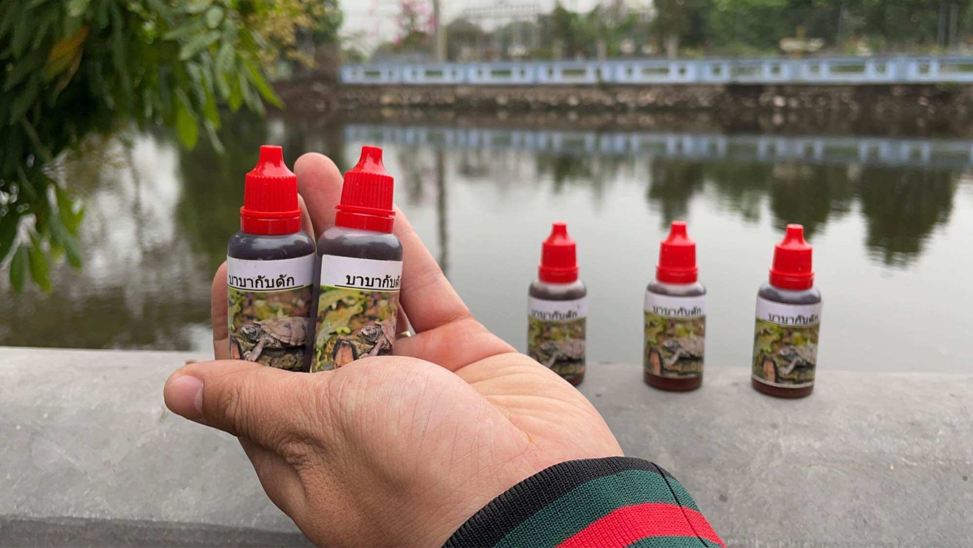 Mồi dụ Baba Thái Lan siêu nhạy 20ml