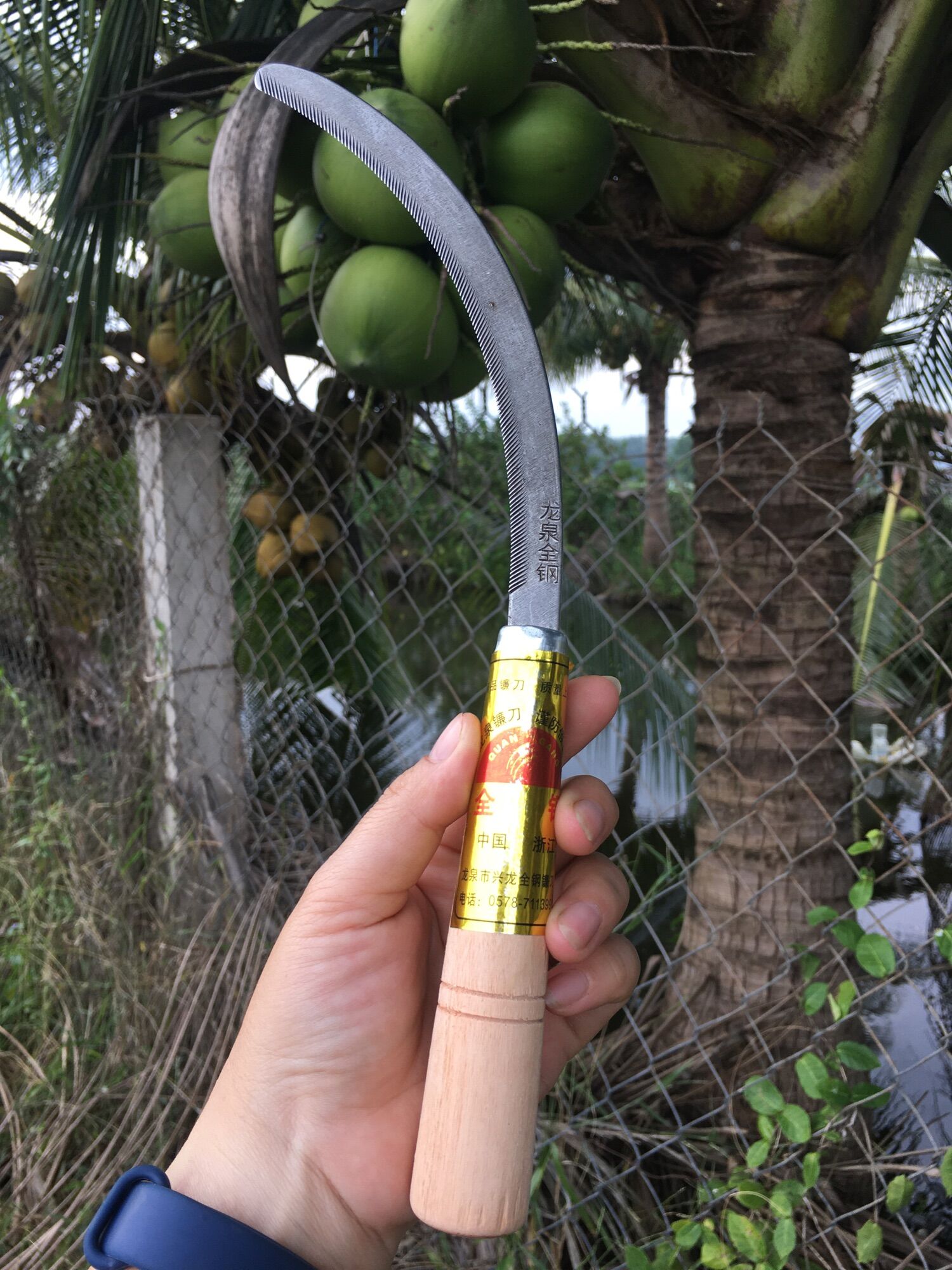 SET 5 LIỀM CÁN GỖ SIÊU BÉN CẮT DỪA, CỎ VOI...