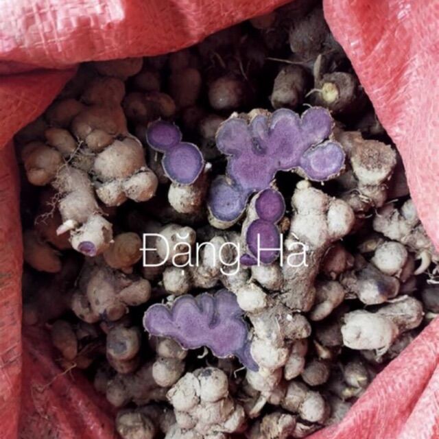 Gừng đen -100g