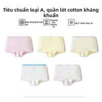 MINI BALA | Quần Lót Ngắn 4 Góc Kháng Khuẩn Thoải Mái 5 Cái