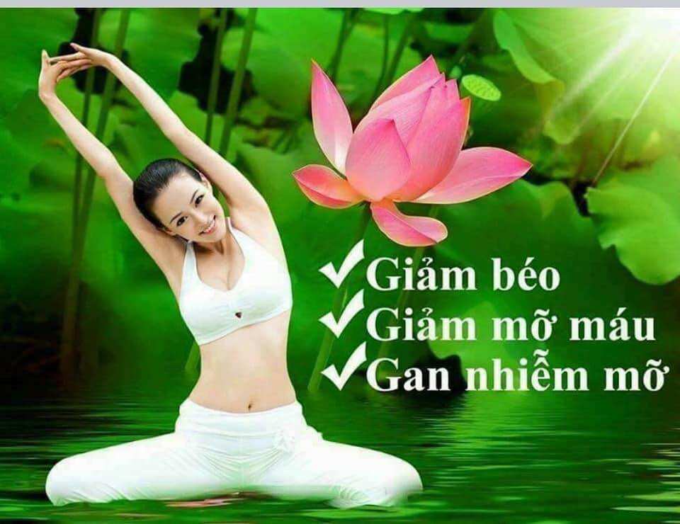 Trà túi lọc lá sen hồng sâm Liên Hoa Chi