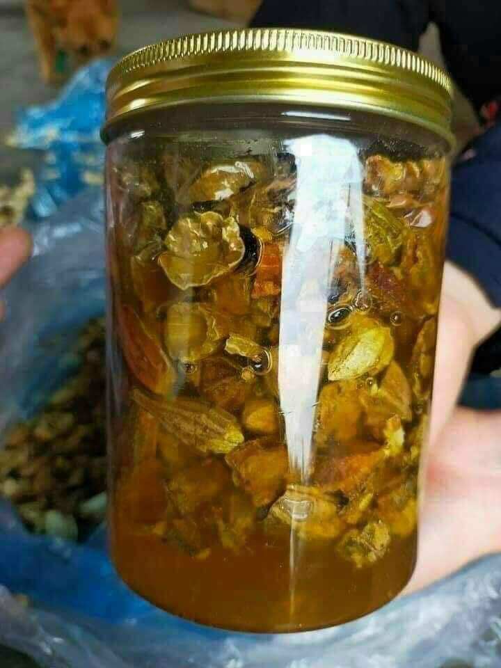 500gr Quả Kha Tử