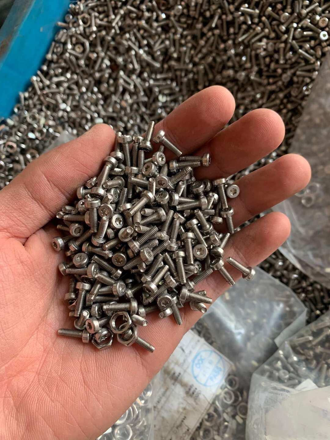 Túi 500 vít hoa thị m3x10mm inox 304