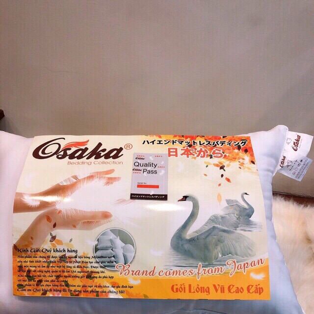 Đôi ruột gối lông vũ cao cấp osaka