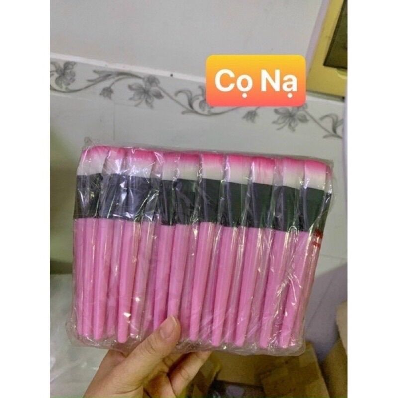 100 CỌ QUÉT MẶT NẠ CÁN HỒNG