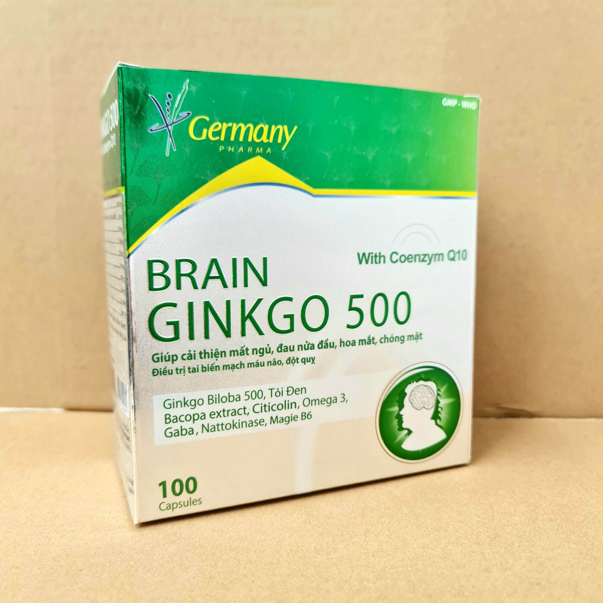 HCMBRAIN Ginkgo 500-Giúp Hoạt Huyết Tăng Cường Lưu Thông Máu