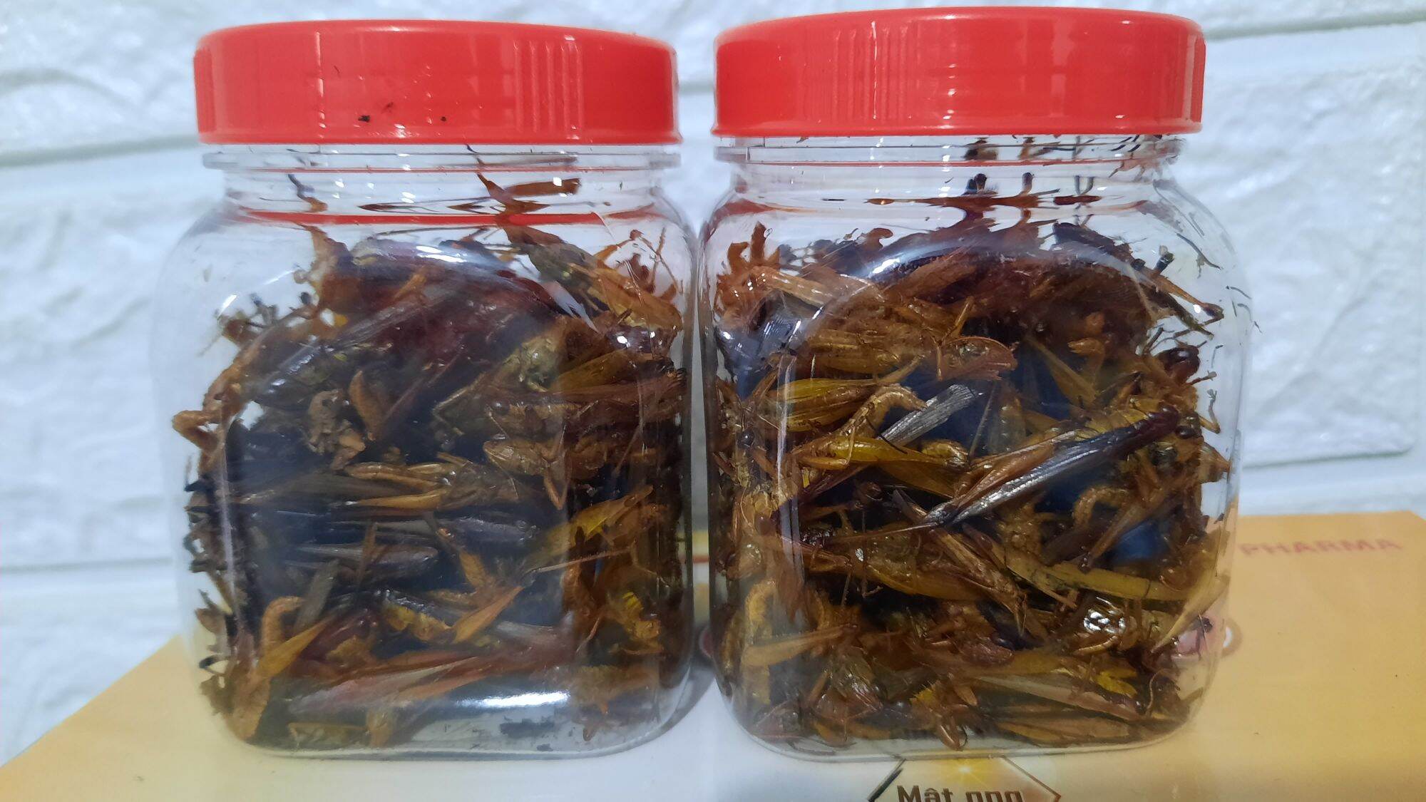 combo 2 hủ cào cào sấy khô. 40gram= 2 hủ