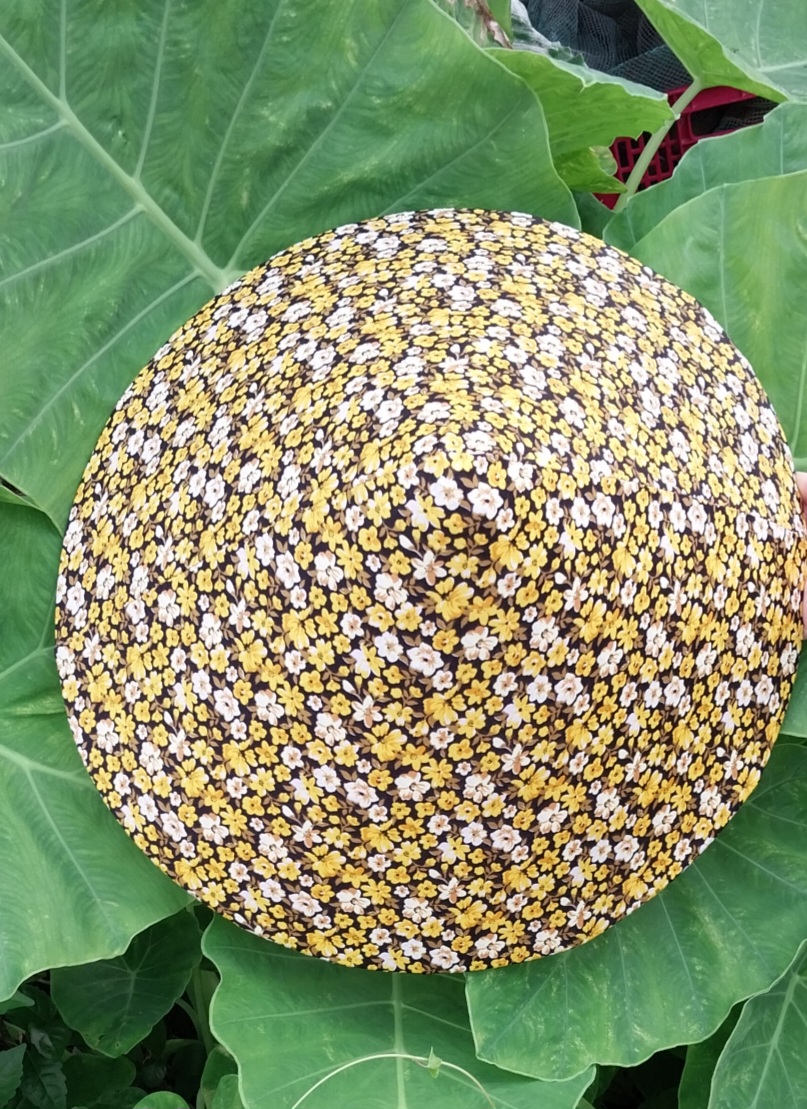 Bao vải bọc nón lá
