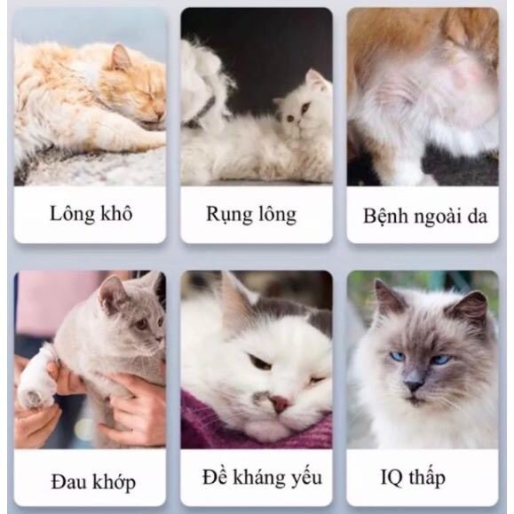 Viên Dầu Cá Omega Chó Mèo KAMT (Hộp 60 viên)