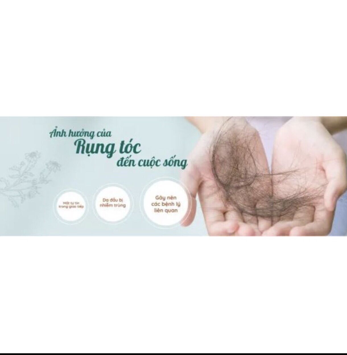 Combo dầu gội và xả An Thảo Hương