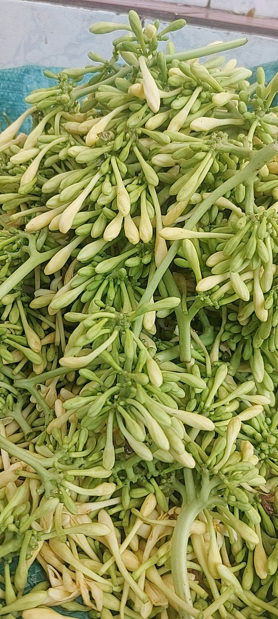 1kg hoa đủ đực tươi