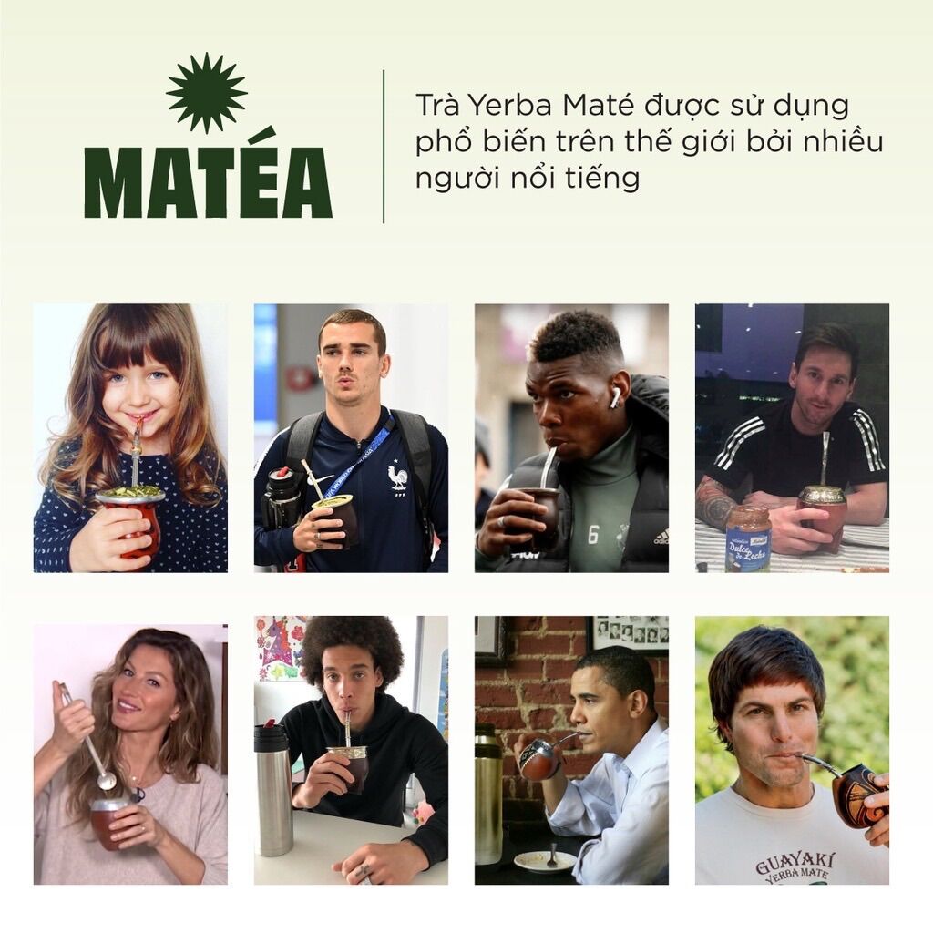 Trà Yerba Maté dạng túi lọc 20 gói