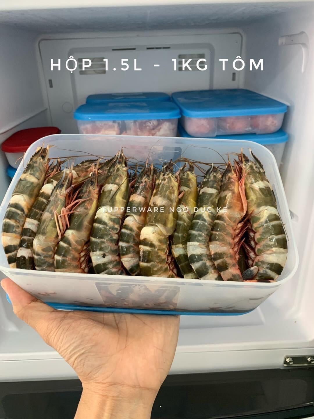Hộp đông 1.5L Tupperware