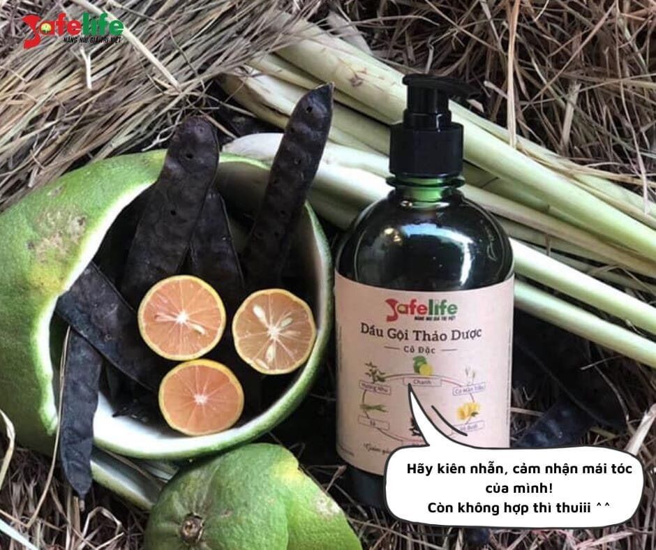 Dầu gội thảo dược safelife