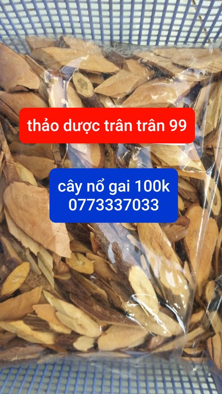 cây nổ gai phơi khô 1kg