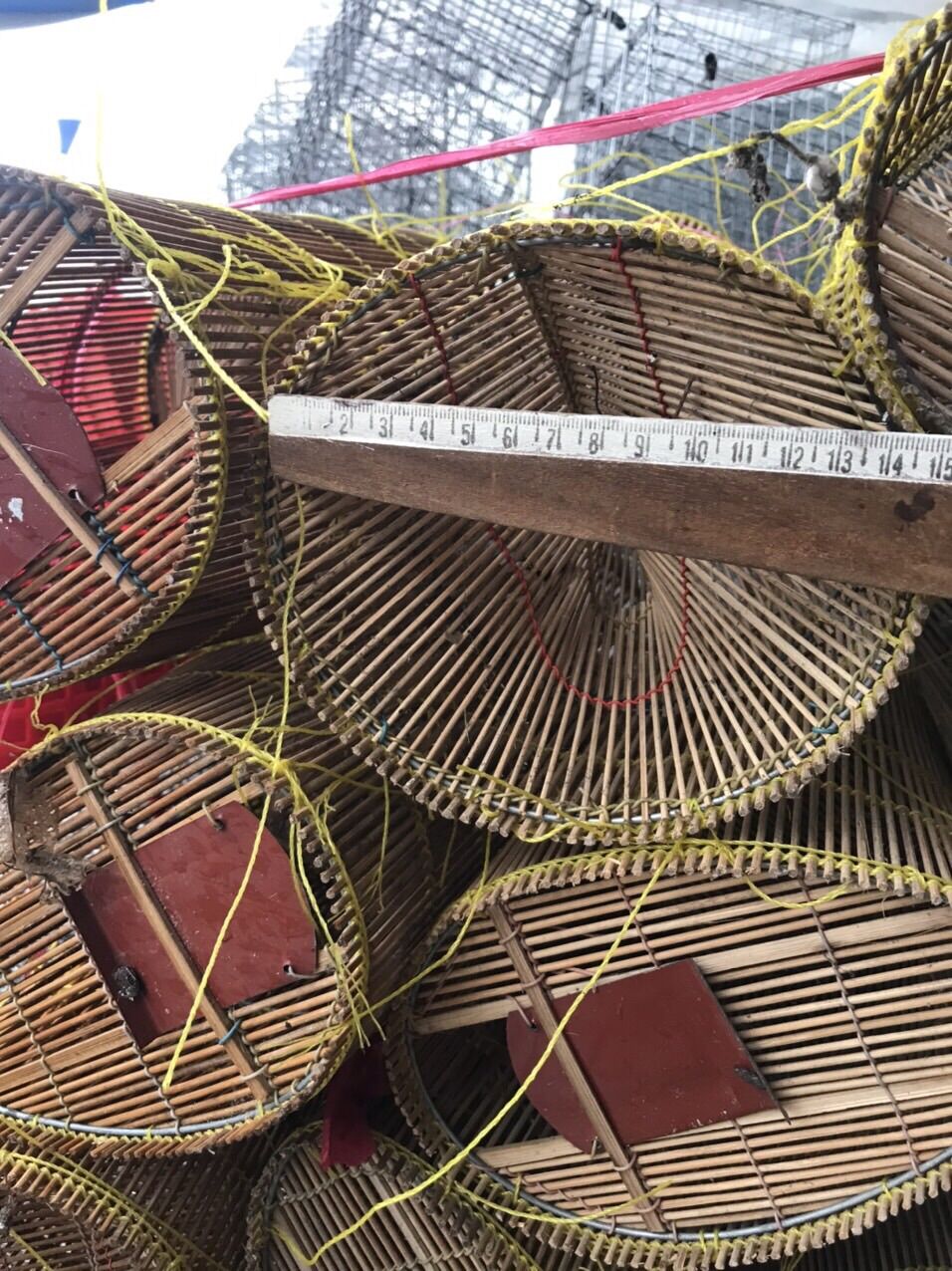 Lộp đặt tép,cá bóng dừa