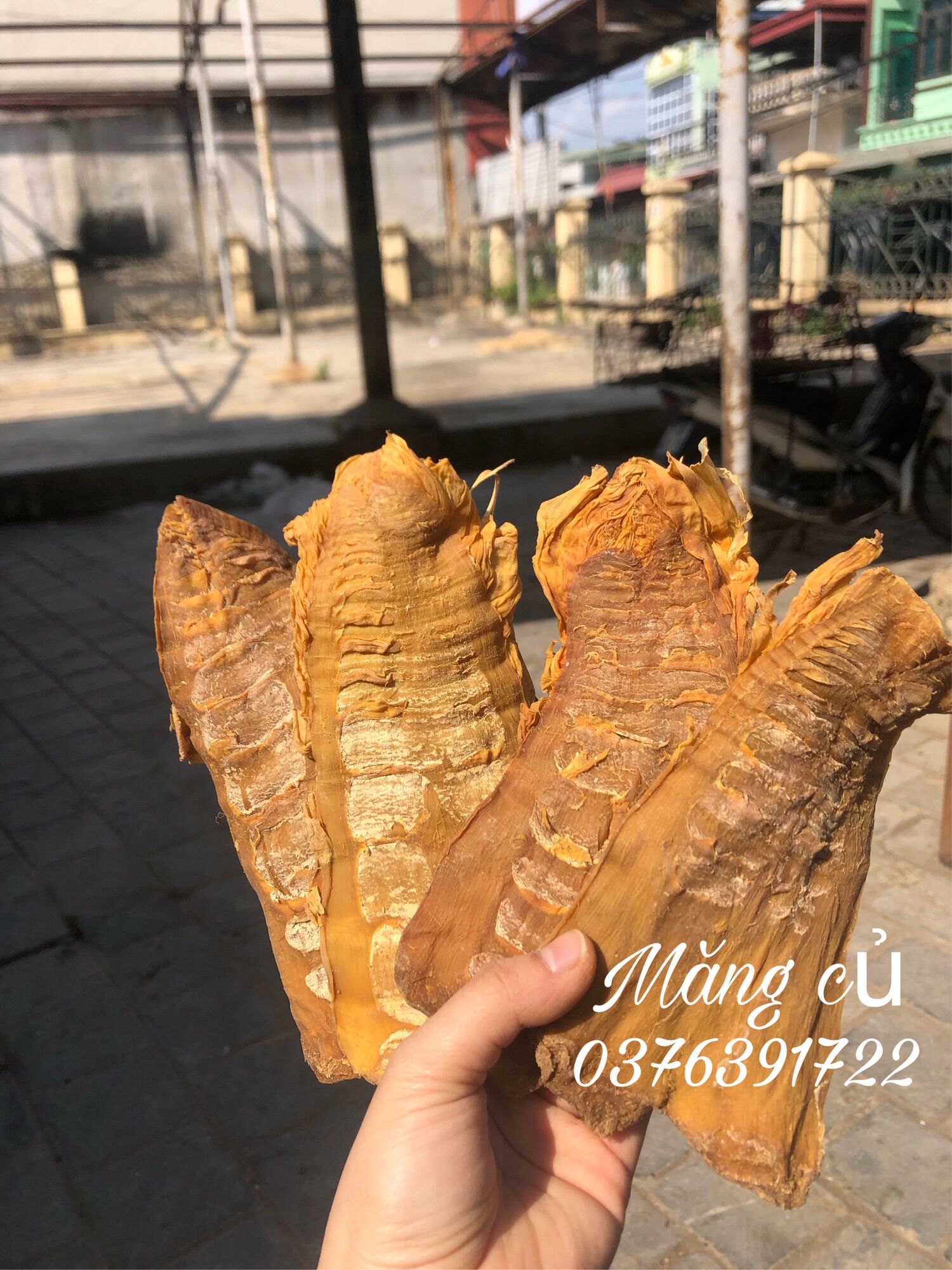 1kg Măng củ Điện Biên hàng đặc biệt