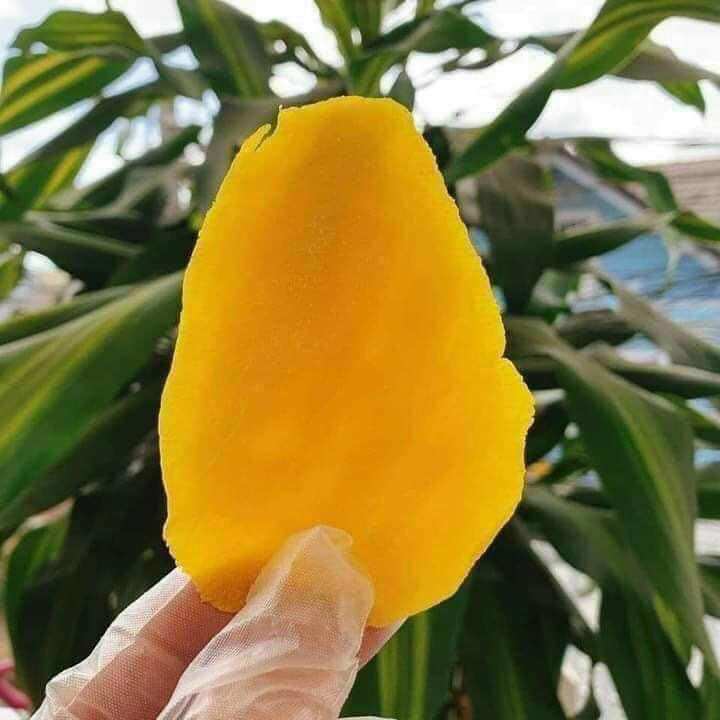 Xoài sấy dẻo 300g Đà Lạt