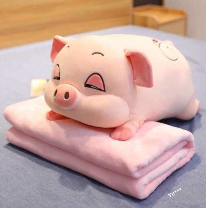 Gối heo kèm chăn nhung nỉ to