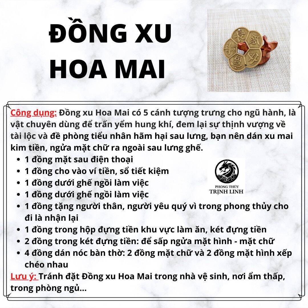 ĐỒNG XU HOA MAI TÀI LỘC