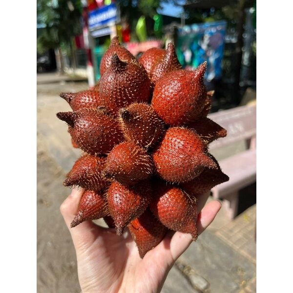 Trái mây thái 1kg đặc sản Thái Lan (hàng Nhập Khẩu)