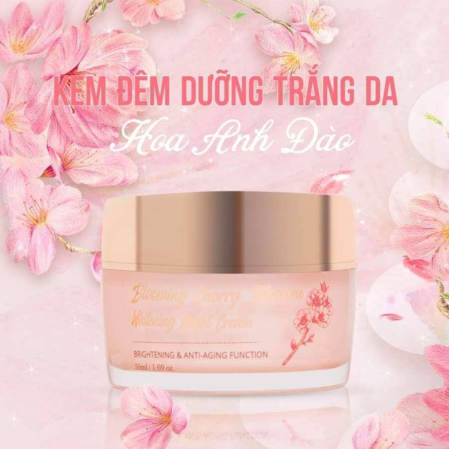 KEM ĐÊM HOA ANH ĐÀO YHL[ CHÍNH HÃNG]