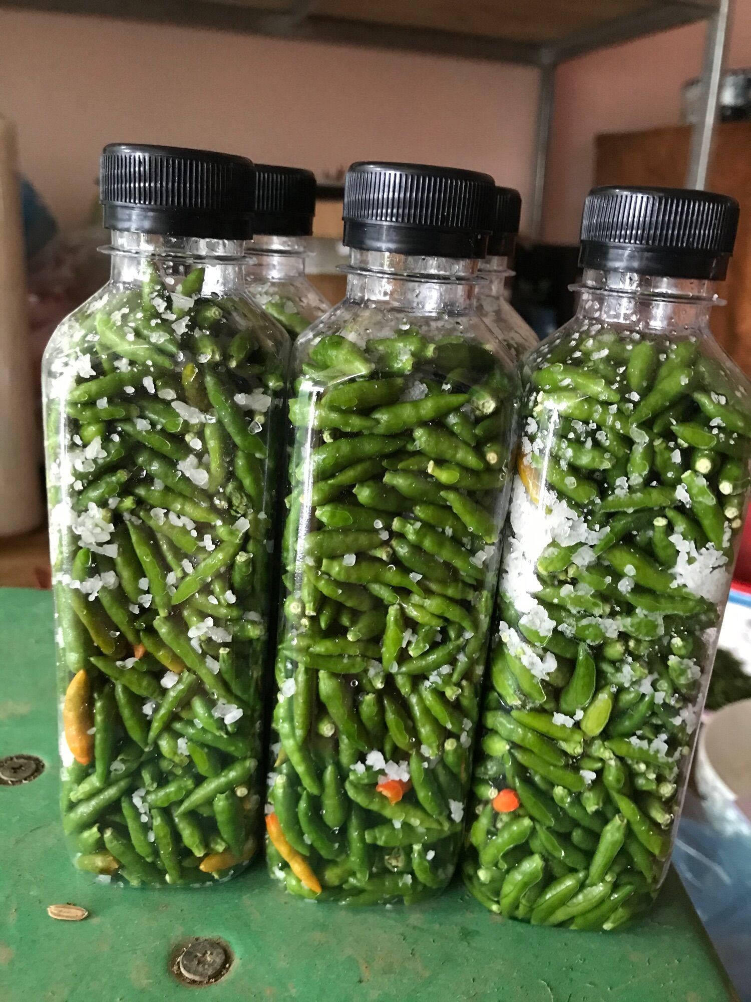 Ớt thóc xanh rừng muối -đặc sản Lai Châu