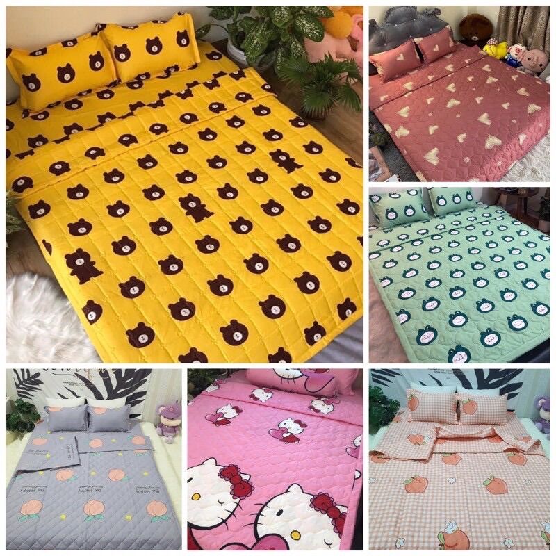 Set chăn hè 5 món cotton poly kích thước 1m2