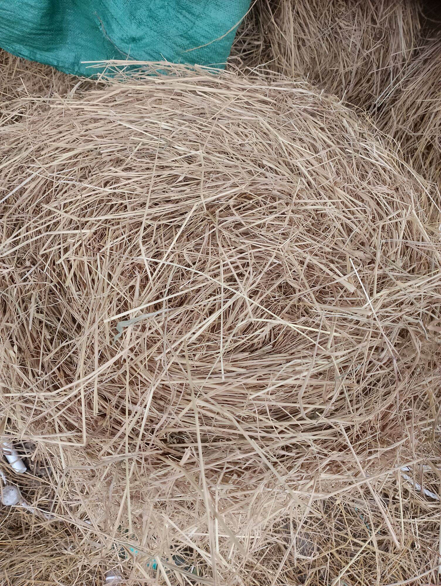 1 cục rơm cuộn nặng 20 kg