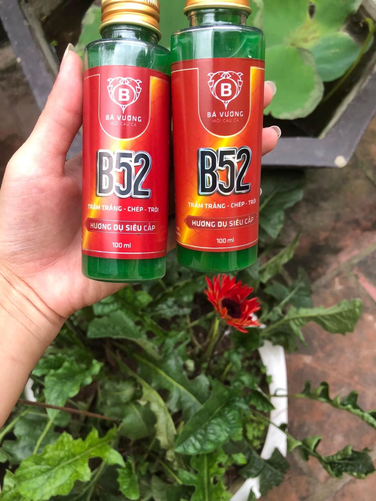 Mồi câu b52.