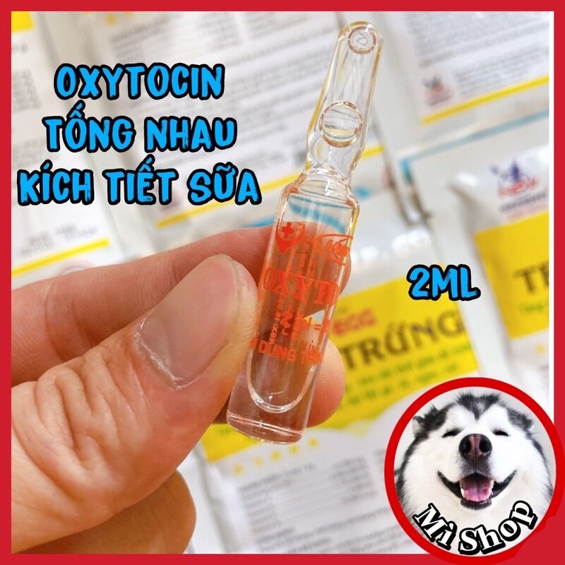 Hanvet Oxytocin 2ml heo, trâu, bò