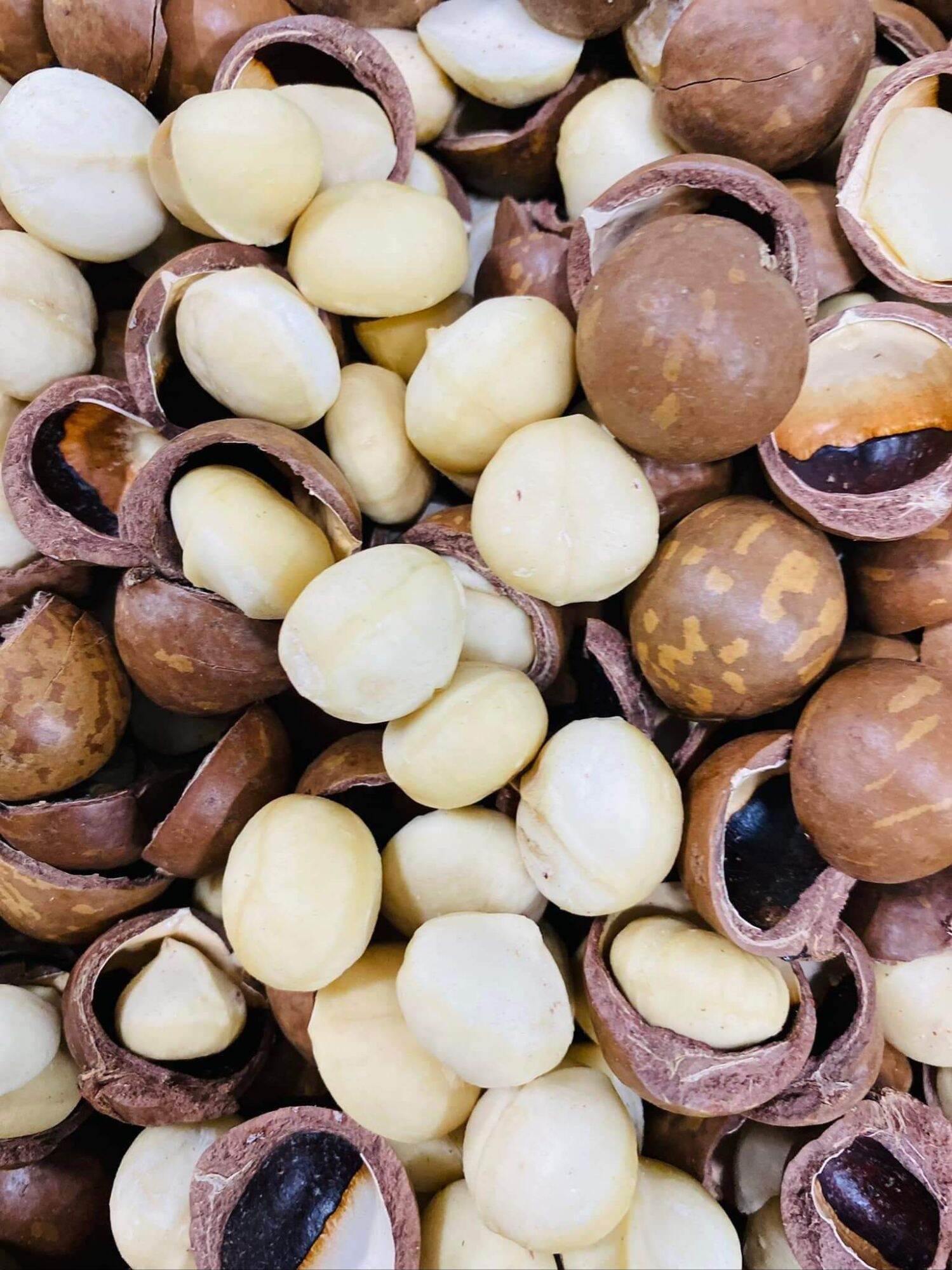 Túi 500g hạt mắc ca