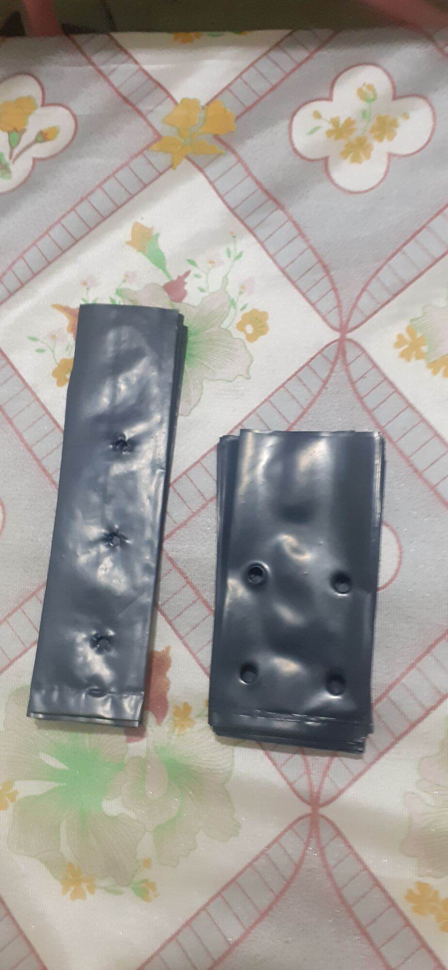 Bầu ươm cây 6,5x15