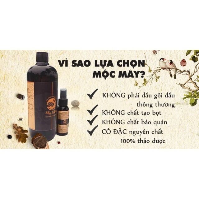 Cao dược liệu gội đầu Mộc Mây