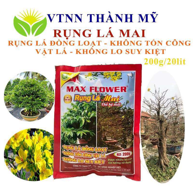 Phân bón Rụng Lá Mai gói 200g cho bình 16 lít giúp rụng lá mai đồng loạt, không suy cây an toàn hiệu quả.