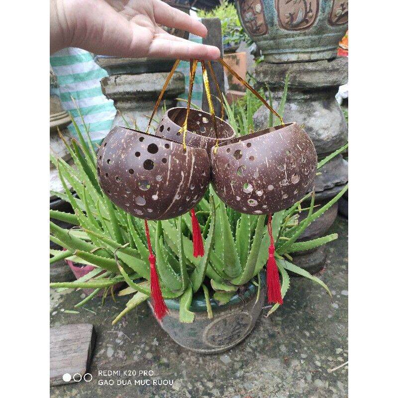 Lồng đèn gáo dừa làm bóng