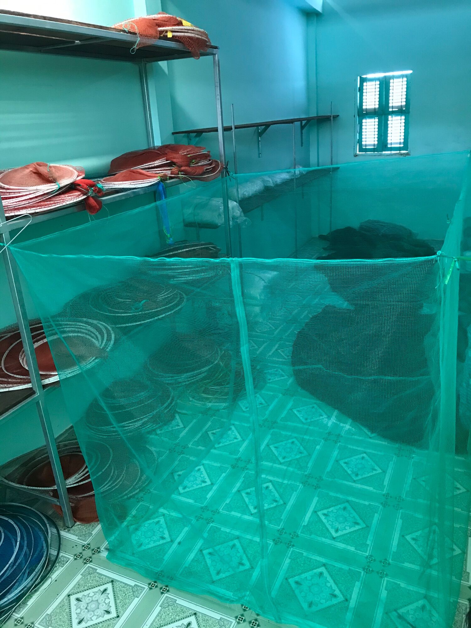 Mùng nuôi ếch 🐸 cá 1.5M x 2M x 1.5M Dây ( Ko Nắp)