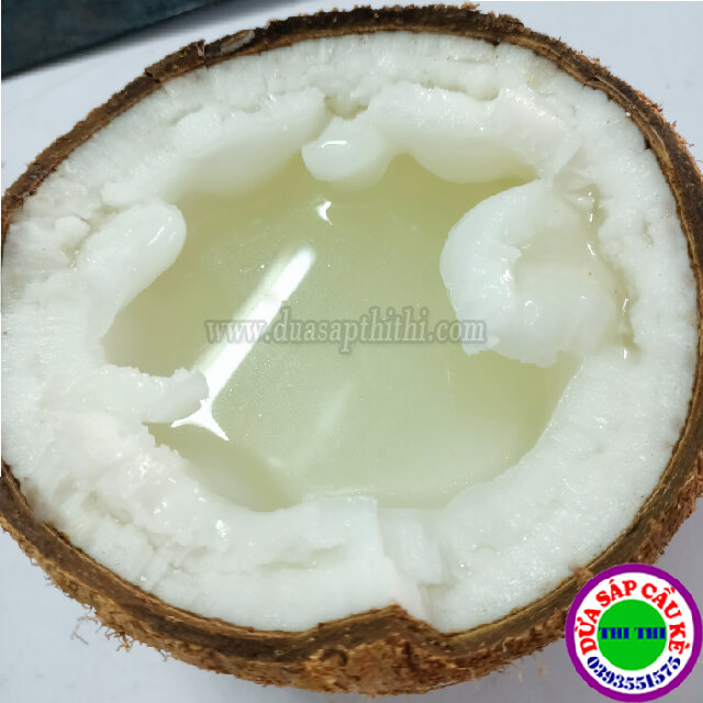 COMBO 2 DỪA SÁP BI ĐẶC (600gr-800gr)