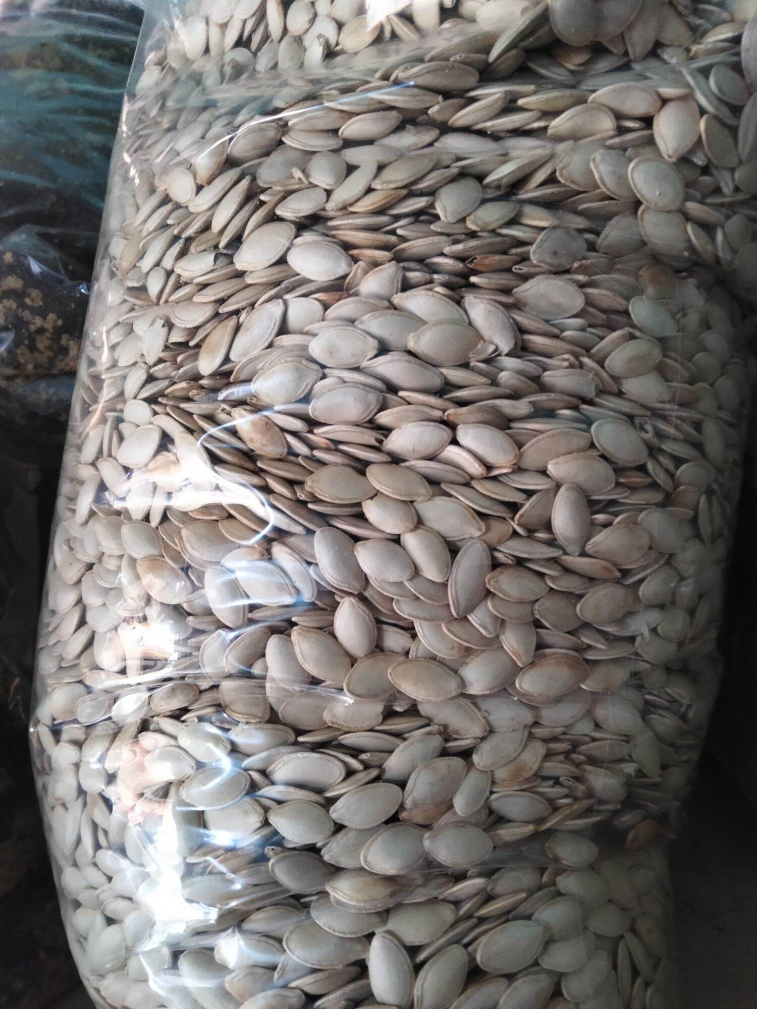 1hũ 500g hạt bí rang