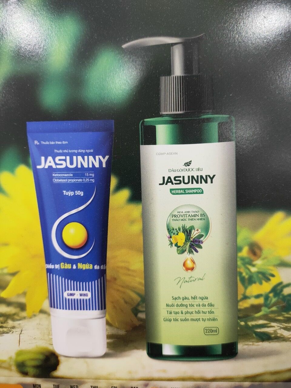 Dầu gội đầu Jasunny - Tuýp 50g