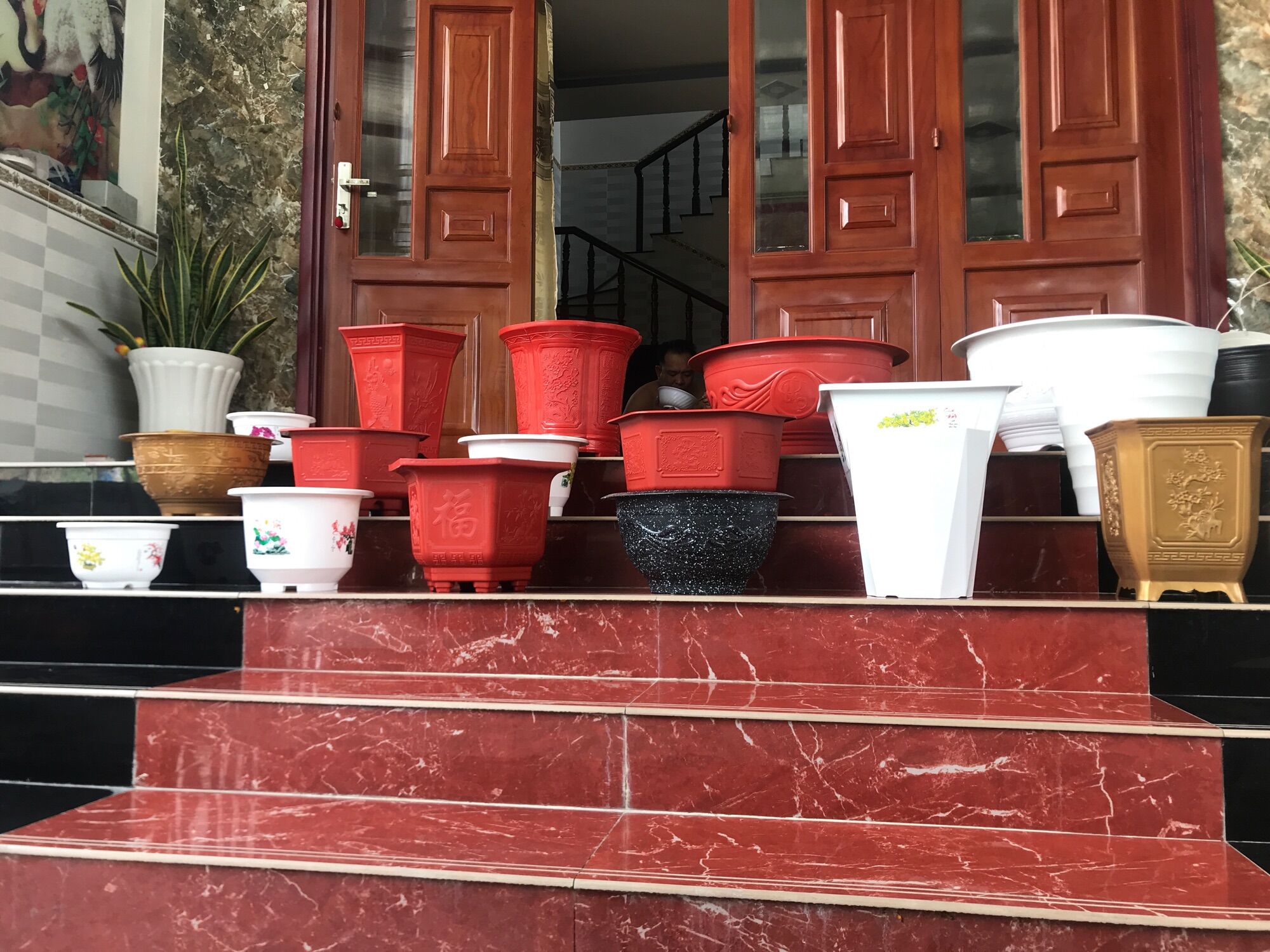 Combo 5 chậu  A250
