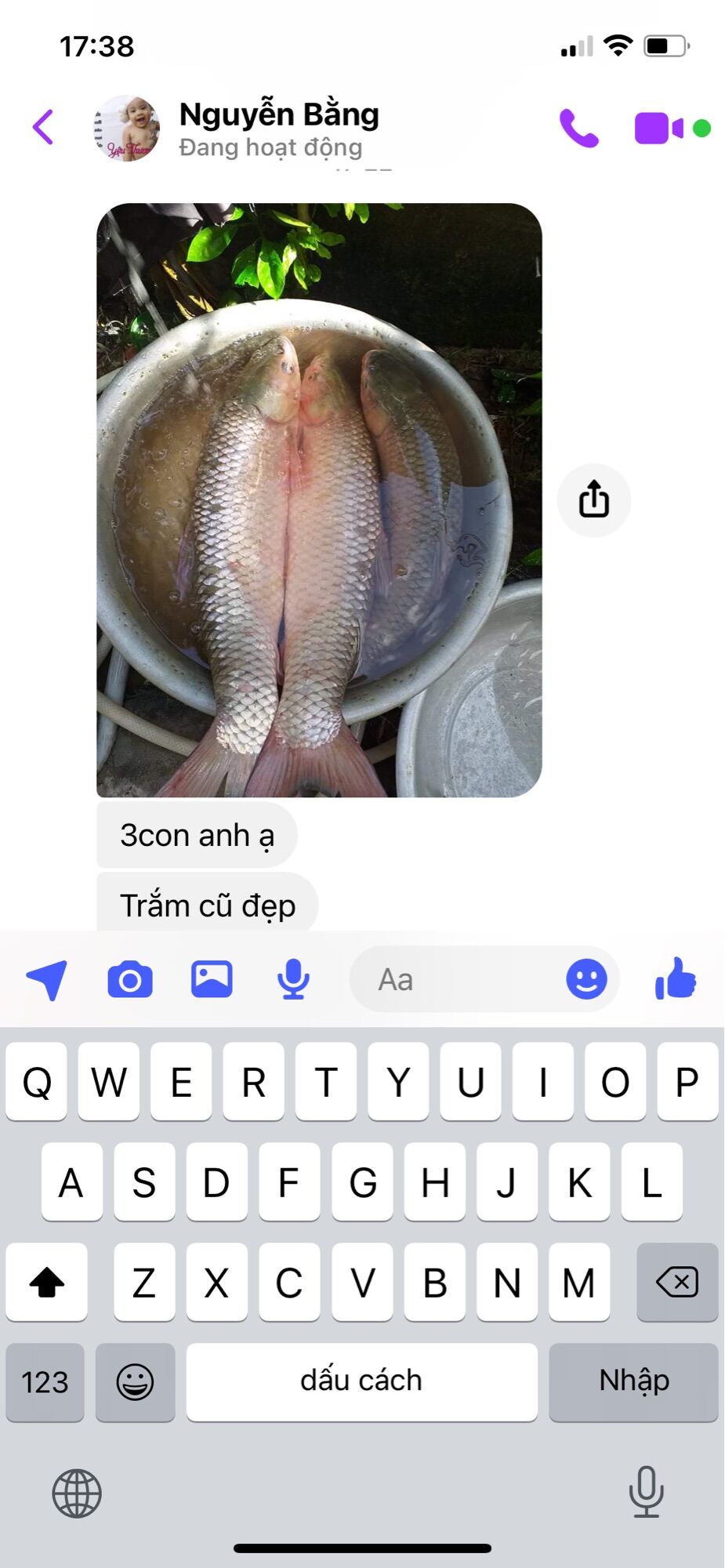 Ngô Ủ Sa Phạm Câu Trắm Trắng,Chép,Trôi,Rô Phi...
